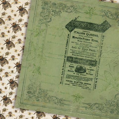 Country Craft Creations - Always Happy - 8x8 - Cotton Bristol