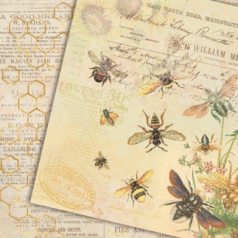 Country Craft Creations - Always Happy - 8x8 - Cotton Bristol