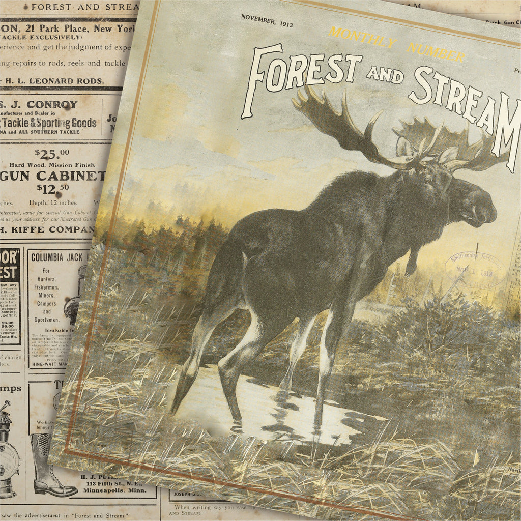 Country Craft Creations - Forest & Stream - 28 sheets of 12x12 - Cotton Bristol