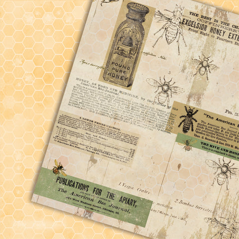 Country Craft Creations - Always Happy - 8x8 - Cotton Bristol