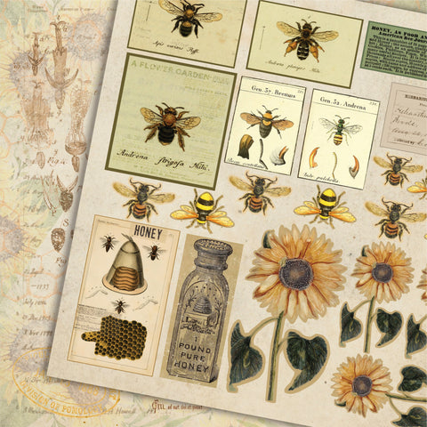 Country Craft Creations - Always Happy - 8x8 - Cotton Bristol